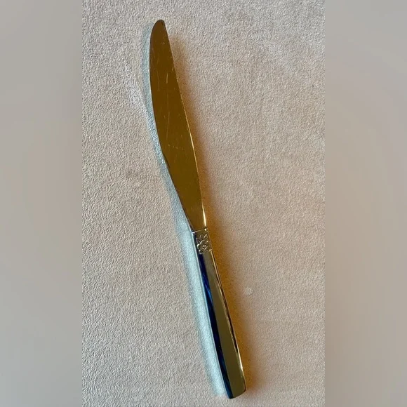 Oneida Ltd. 1881 Rogers Vintage “Melissa” Stainless Flatware 70 Pc.Used Retired - Picture 10 of 15